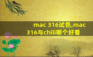 mac 316试色,mac316与chili哪个好看